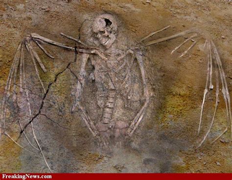 Strange Human Bird Hybrid Skeleton | Artefactos antiguos, Misterios ...