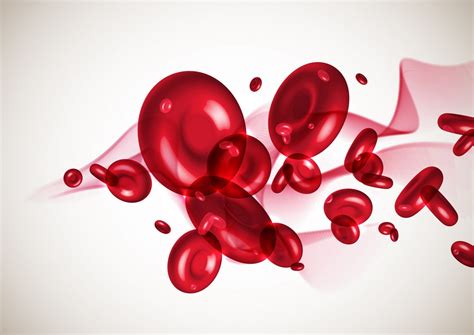 Healthy Blood Iron Levels Could Lead To A Longer Life