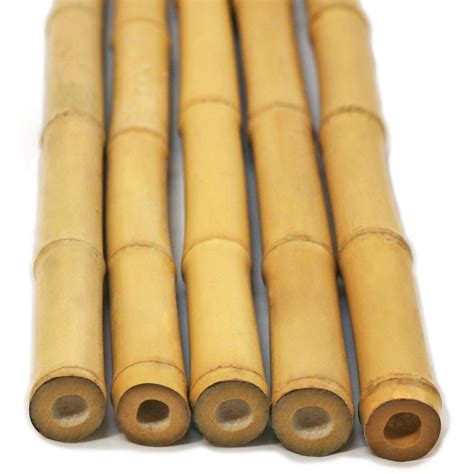 Backyard X-Scapes 1 in. x 8 ft. Natural Bamboo Poles (25-Pack/Bundled)-HDD-BP05 - The Home Depot