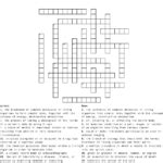 Anatomy And Physiology Crossword Printable | Anatomy Worksheets