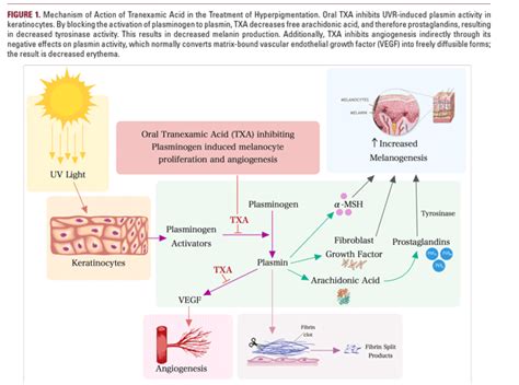 Topical Treatments For Melasma And Their Mechanism Of, 46% OFF