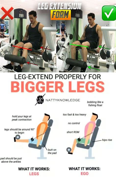 HOW TO LEG EXTENSION | Video & Guide