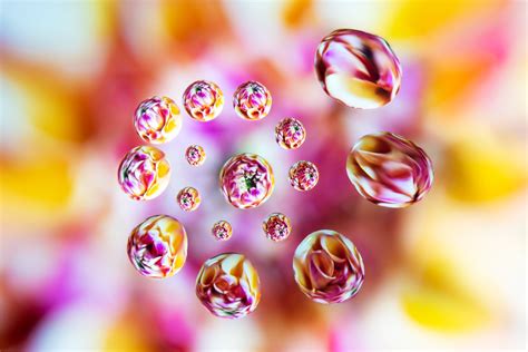 How to Shoot Refraction Macro Photos in Water Drops, Glass Beads and More | PetaPixel