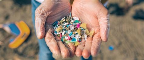 Microplastics: Causes, Effects and Solutions - Ecobnb