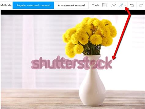 Best 4 Shutterstock Watermark Remover