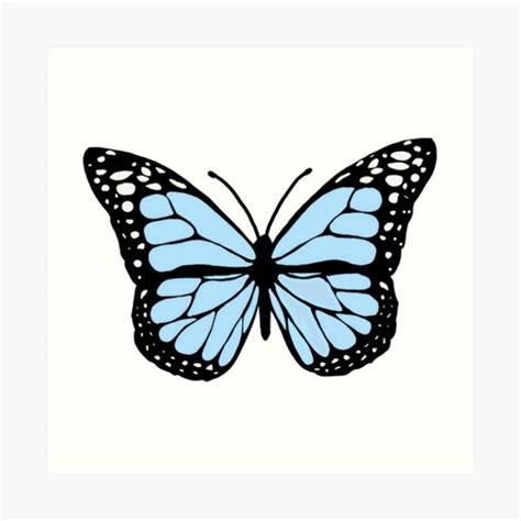 "cornflower blue butterfly" Art Print for Sale by sydwallach | Redbubble