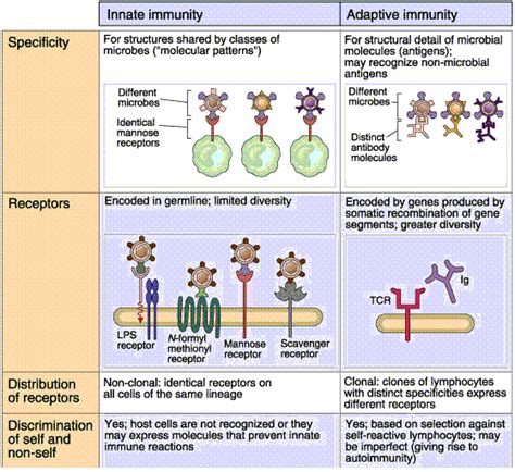 M. Holub: Infections in Immunocompromised Patients