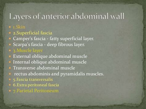 Abdomen layers & surgical incisions