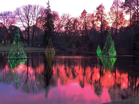 Longwood Gardens | Longwood gardens, Christmas lights, Longwood