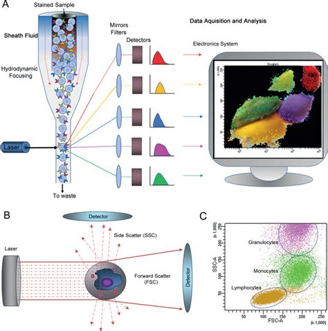 Figure 1, [Schematic diagram of how flow...]. - Leukemia - NCBI Bookshelf