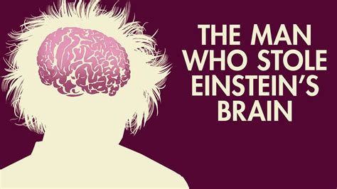 Einstein Brain Research