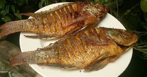 Resep Ikan Nila Goreng oleh Ratih Bayu - Cookpad