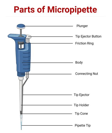 How To Use A Micropipette