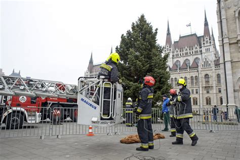 Hungary's Christmas Tree Placed in Front of Parliament - Hungary Today