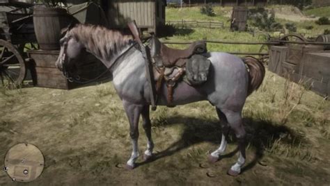 RDR2 Best Horse to Buy and Locations | AlfinTech Computer