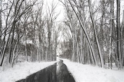 Minnesota Winter landscape photography. Long by AlenovPhotography