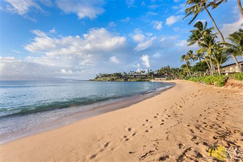 Napili Bay Resort Condos - 18 Condo Rentals | Aloha Condos & Homes