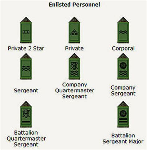 Ireland - Reserve Defence Force (RDF) Rank Insignia