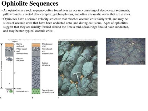 PPT - Ocean Basins and Crust PowerPoint Presentation, free download - ID:241991