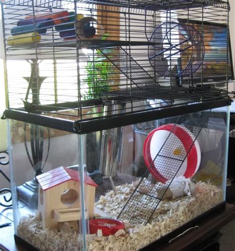 Gerbil Housing Pictures | The Gerbil Forum | Gerbil cages, Gerbil ...