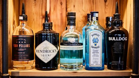 13 Top Shelf Gin Brands to Drink