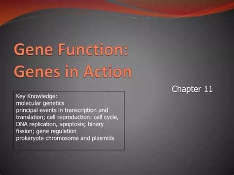 PPT - Gene Function: Genes in Action PowerPoint Presentation, free download - ID:2467430