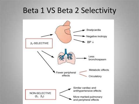 Beta-blockers in cardiovascular diseases