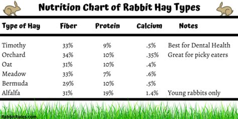 Oat Hay For Rabbits | Updated Information | Approved Rabbit Hays