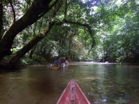 Kayan Mentarang National Park | Borneo Eco Adventure