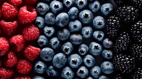 Berries Boost your Brain Heath - Shake It Up Australia Foundation