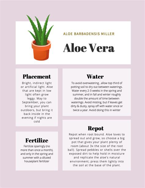 Aloe Vera Plant Care Tips & Tracker - Etsy