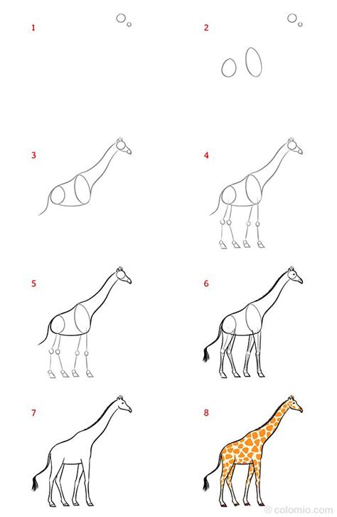 Giraffe Drawing Ideas How to draw a Giraffe