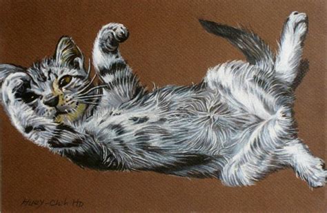 Cat Colored Pencil Drawing Drawing by Huey-Chih Ho | Saatchi Art