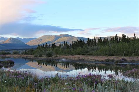 Canadian and European boreal forests differ but neither is immune to climate change, says U of T ...