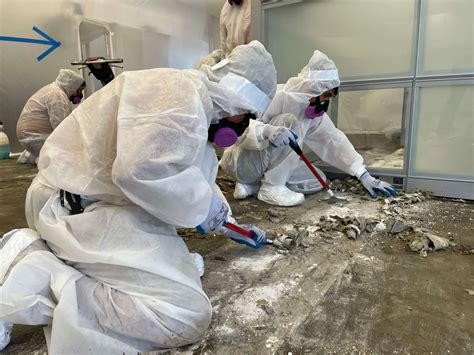 The Dangers of Delaying Asbestos Removal: Risks and Consequences ...