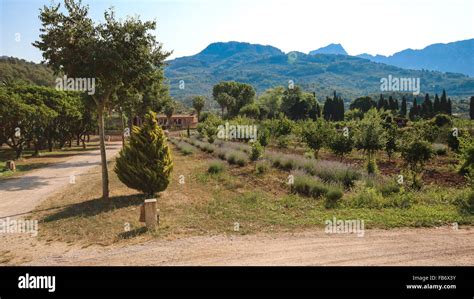 Balearic islands Mediterranean Finca, architecture of Majorca Stock Photo - Alamy