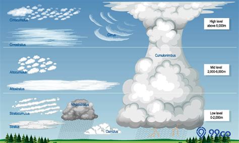 Materi Pelajaran Geografi Mengenal Jenis Jenis Awan Dan Ciri Cirinya ...