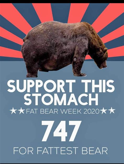 How Fat Bear Week Exploded in 2020 | Rasor | Communicators. Strategists ...