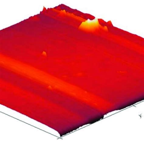 Atomic force microscope (AFM) image of the uncoated substrate surface,... | Download Scientific ...