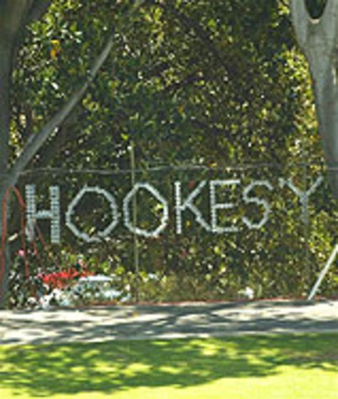 Floral tribute to David Hookes | ESPNcricinfo.com