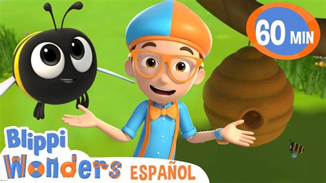 Miel | Blippi Wonders | Caricaturas para niños | Dibujos Animados ...