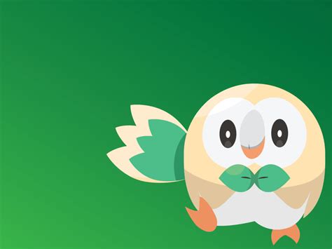 Rowlet HD Wallpapers - Wallpaper Cave