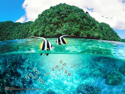 Theme Styles: Free 230 3D Nature & Wildlife Wallpapers