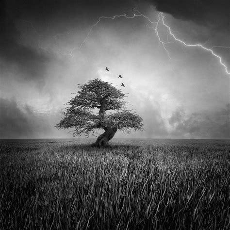 19 Beautiful and Surreal Examples of Composite Photography | Photocrowd Photography Blog