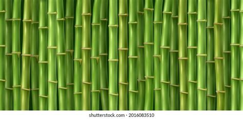 29,344 Bamboo Forest Wallpaper Royalty-Free Images, Stock Photos ...