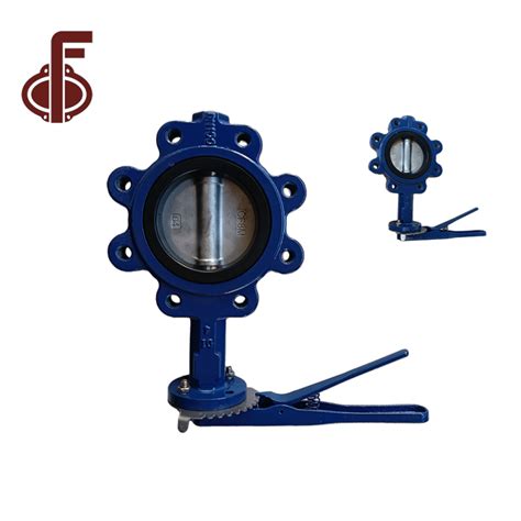 China Renewable Design For Worm Gear Butterfly Valve - Hand Lever ...