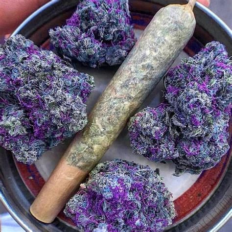 ‼️What would you name this strain⁉️ 💜This purple is out of this world💜 ...