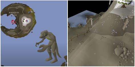 How To Solo Dagannoth Rex In OSRS