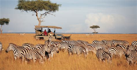 Safaris in Samburu National Reserve, Kenya - Journeys by Design