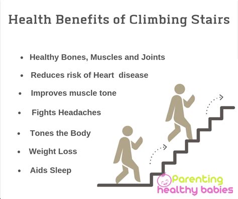 benefits of climbing stairs